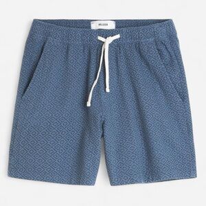 Hollister Men’s Dark Blue Pattern Linen Blend Shorts